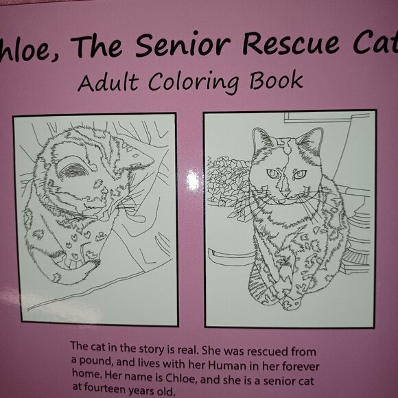 Cat Coloring Book - Picture 6 of 6